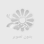 ظرف خاک گربه